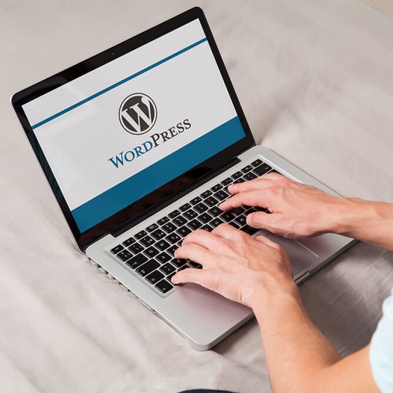 Wordpress Tabanlı Web Site Kullanmanın Avantajları Nelerdir?